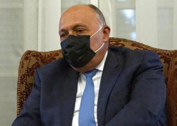 Mısır Dışişleri Bakanı: Türkiye ile temas sürüyor