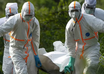 Nijerya'da kolera salgını yayılıyor: Ölü sayısı 310'a yükseldi
