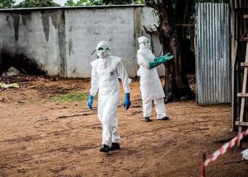 Nijerya'da kolera salgınından ölenlerin sayısı 479'a yükseldi