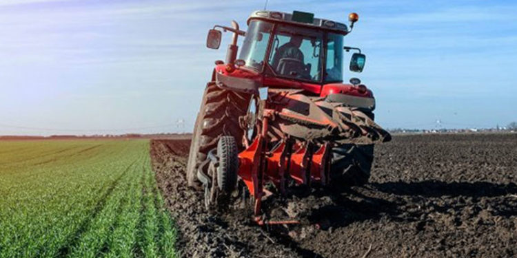 OECD: Tarımda üreticiye verilen destek yüzde 54'e geriledi