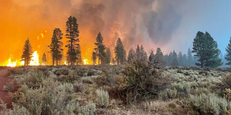 Oregon Bootleg Yangını: ABD'de devam eden en büyük orman yangınında 300 bin dönümden büyük alan kül oldu