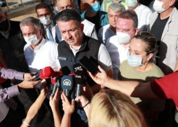 Pakdemirli: Antalya&rsquo;da orman yangınında bir kişi &ouml;ld&uuml;, 10 kişi mahsur kaldı