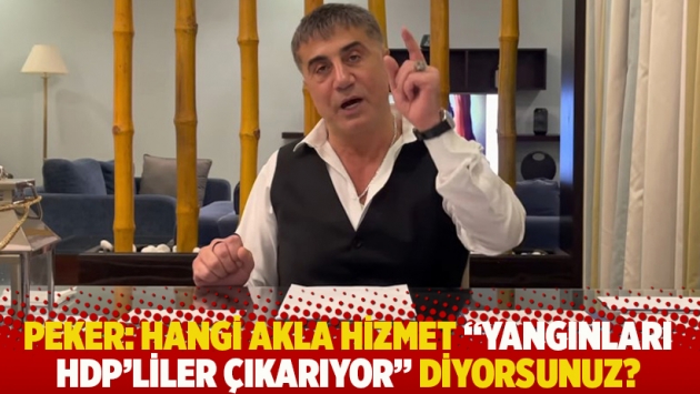 Peker: Hangi akla hizmet "bu yangınları HDP'liler çıkarıyor" diyorsunuz?