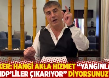 Peker: Hangi akla hizmet "bu yangınları HDP'liler &ccedil;ıkarıyor" diyorsunuz?