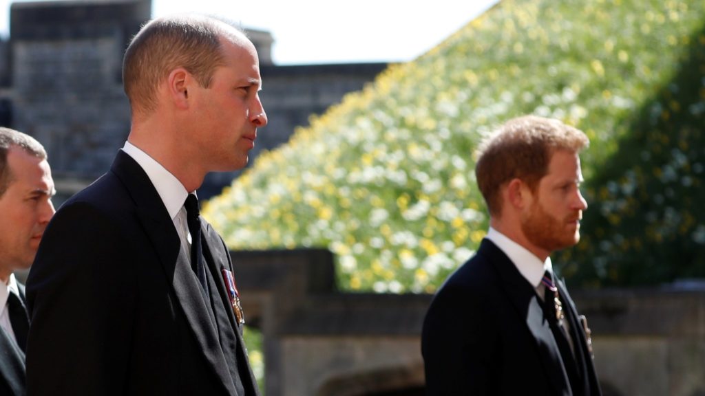 Prens William ve Harry, anneleri Prenses Diana'nın heykelini açacak