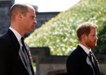 Prens William ve Harry, anneleri Prenses Diana'nın heykelini açacak
