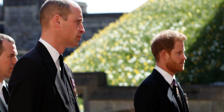Prens William ve Harry, anneleri Prenses Diana'nın heykelini açacak