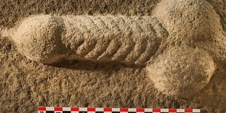 Roma İmparatorluğu'ndan kalma 2 bin yıllık taş oyması penis bulundu