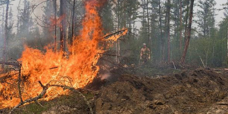 Sibirya'da orman yangınları: 1.5 milyon hektarlık alan küle döndü