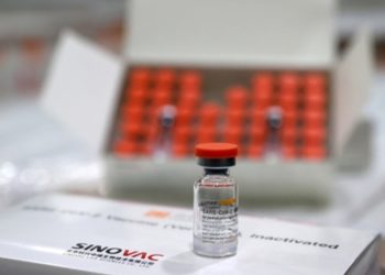 Sinovac aşısının 3. doz etkisi açıklandı