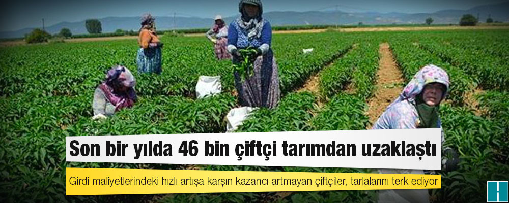 Son bir yılda 46 bin çiftçi tarımdan uzaklaştı