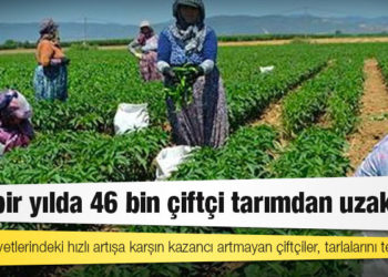 Son bir yılda 46 bin çiftçi tarımdan uzaklaştı
