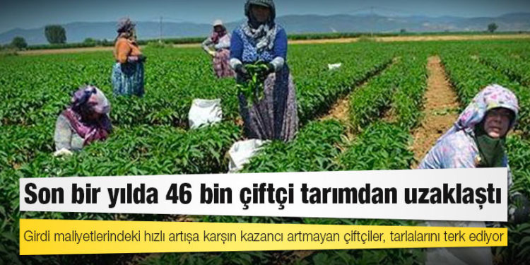 Son bir yılda 46 bin çiftçi tarımdan uzaklaştı