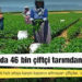 Son bir yılda 46 bin çiftçi tarımdan uzaklaştı