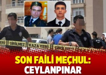 Son faili me&ccedil;hul: Ceylanpınar