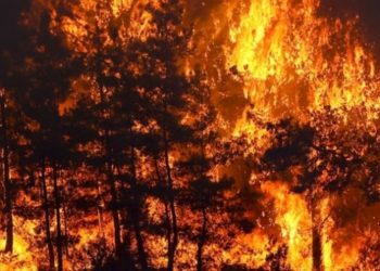 "Soylu, yangınların sabotaj sonucu &ccedil;ıktığına dair istihbarat bilgisi olmadığını s&ouml;yledi"