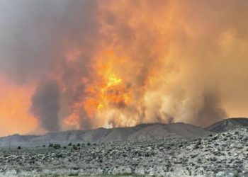 Sıcak hava dalgasının etkilediği ABD'de çok sayıda orman yangını