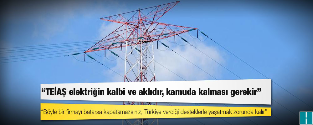 Türkiye'de elektrik özelleştirilmesi nelere yol açacak?