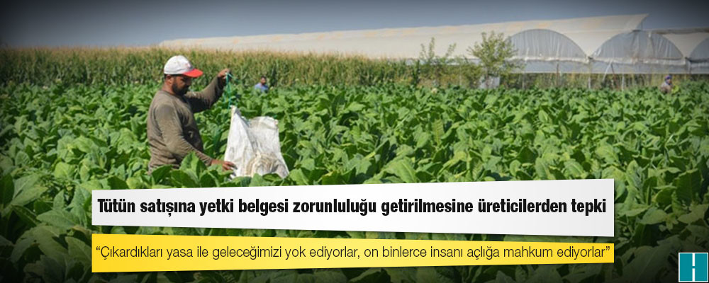 Tütün satışına yetki belgesi zorunluluğu getirilmesine üreticilerden tepki