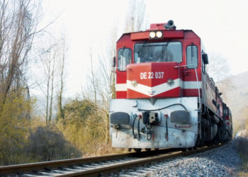 TCDD