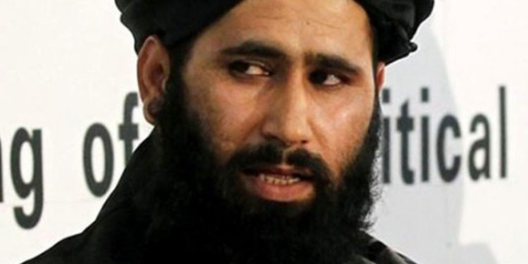 TRT Arabi'ye konuşan Taliban sözcüsü: Türkiye bizim kardeşimiz, iyi ilişkiler kurmak istiyoruz