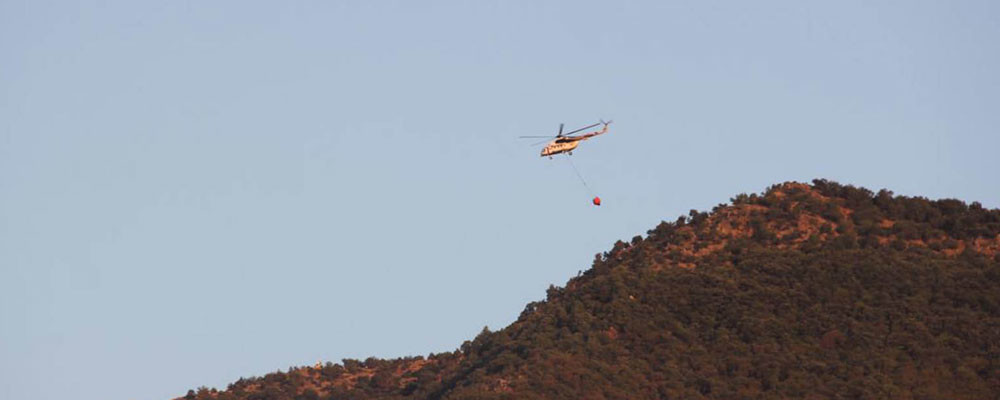 Tarım ve Orman Bakanı Pakdemirli: Fethiye, Kırıkhan ve Kozan'daki orman yangınları kontrol altına alındı