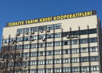 Tarım Kredi Kooperatifleri: Bu yılın ilk yarısında üreticiye 600 milyon TL'lik faizsiz kredi verdik