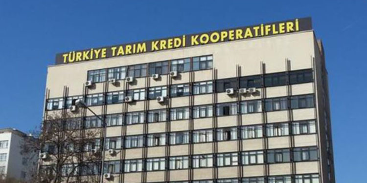 Tarım Kredi Kooperatifleri: Bu yılın ilk yarısında üreticiye 600 milyon TL'lik faizsiz kredi verdik