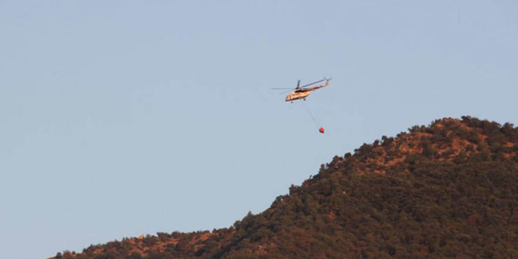 Tarım ve Orman Bakanı Pakdemirli: Fethiye, Kırıkhan ve Kozan'daki orman yangınları kontrol altına alındı