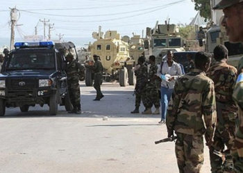 Türkiye'nin Etiyopya'ya insansız hava aracı yolladığı iddiaları yalanlandı