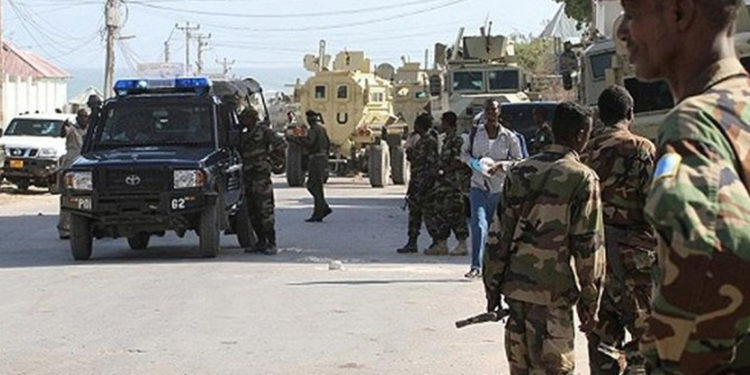 Türkiye'nin Etiyopya'ya insansız hava aracı yolladığı iddiaları yalanlandı