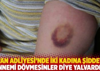 Van Adliyesi&rsquo;nde iki kadına şiddet: Annemi d&ouml;vmesinler diye yalvardım