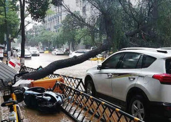 Çin'in Hınan eyaletindeki selde hayatını kaybedenlerin sayısı 33'e yükseldi