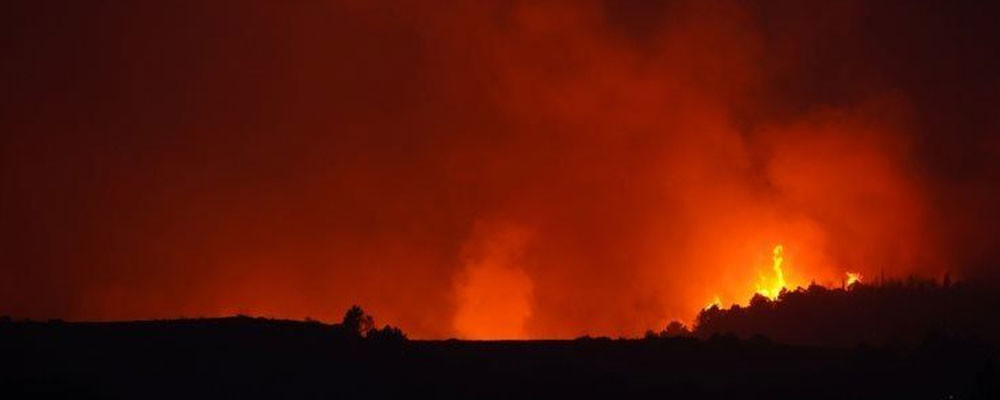 İtalya'da orman yangınları: 3 kişi hayatını kaybetti, Calabria yönetimi bölge için OHAL istedi