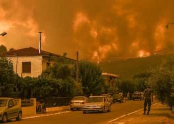 Yunanistan’da orman yangınları kontrol altına alınamıyor; Almanya, itfaiye ekibi gönderdi