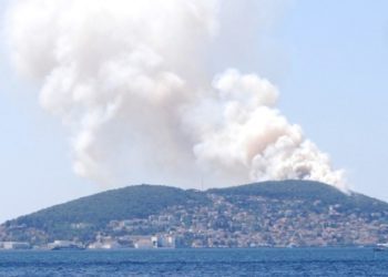 Heybeliada'da orman yangını