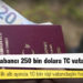 17 bin 500 yabancı 250 bin dolara TC vatandaşı oldu