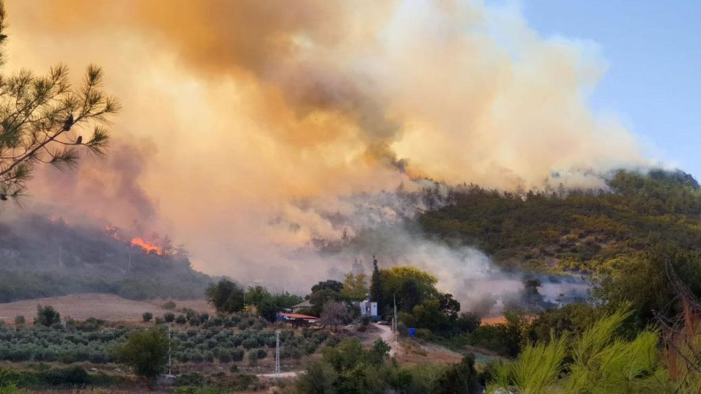 "2021'in Temmuz'u orman yangınları açısından en kötü aydı"