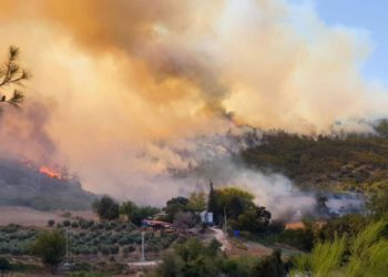 "2021'in Temmuz'u orman yangınları açısından en kötü aydı"