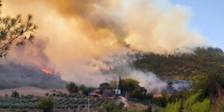 "2021'in Temmuz'u orman yangınları açısından en kötü aydı"