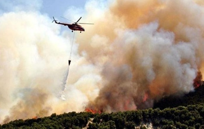 4.2 milyar liralık bütçesi olan Orman Genel Müdürlüğü 26 helikopter alımı için 1000 TL ayırmış