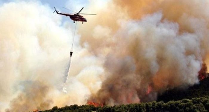 4.2 milyar liralık bütçesi olan Orman Genel Müdürlüğü 26 helikopter alımı için 1000 TL ayırmış