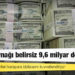 6 ayda kaynağı belirsiz 9,6 milyar dolar geldi