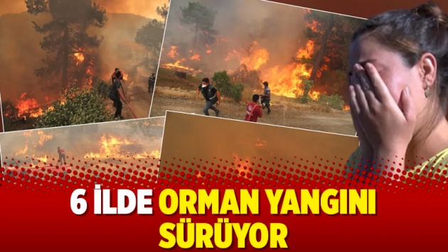 6 ilde orman yangını sürüyor