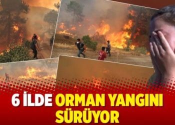 6 ilde orman yangını sürüyor