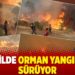 6 ilde orman yangını sürüyor