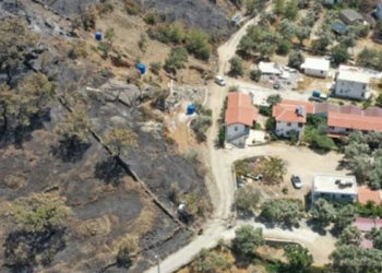 AB Kopernik Atmosfer Gözlem Servisi: Türkiye'de yangın yoğunluğu rekor düzeyde