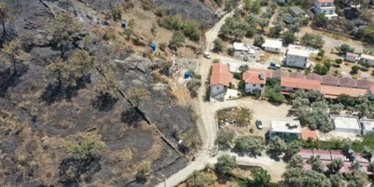 AB Kopernik Atmosfer Gözlem Servisi: Türkiye'de yangın yoğunluğu rekor düzeyde