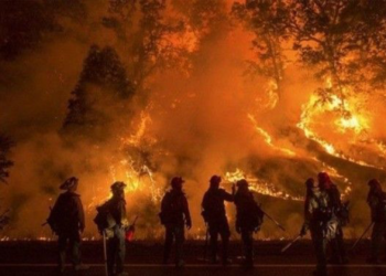 ABD'deki orman yangınlarında New York, Los Angeles ve Chicago kentlerinin toplamı büyüklüğünde alan yandı