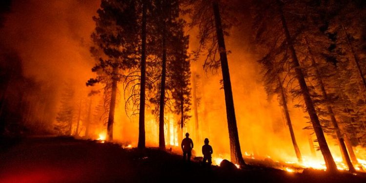 ABD'deki orman yangınlarında New York, Los Angeles ve Chicago kentlerinin toplamı büyüklüğünde alan yandı